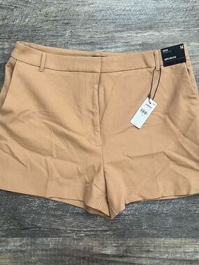 NWT Express Editor Super High Rise Shorts in Tan/Peach